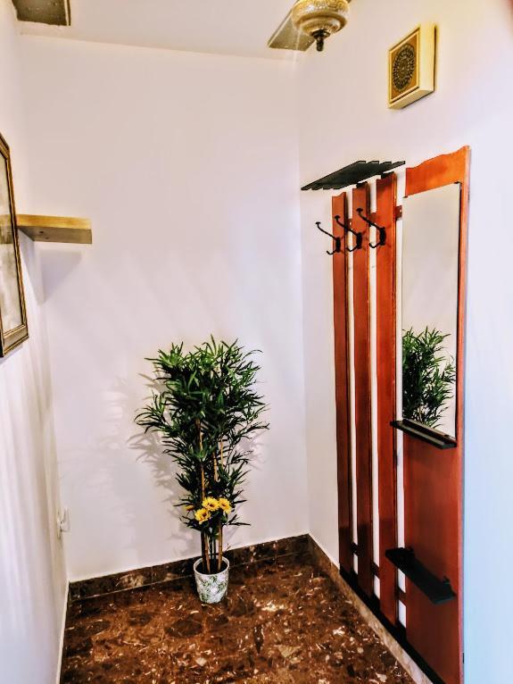 Apartmani Mila A1 & A2 & 3 特罗吉尔 外观 照片